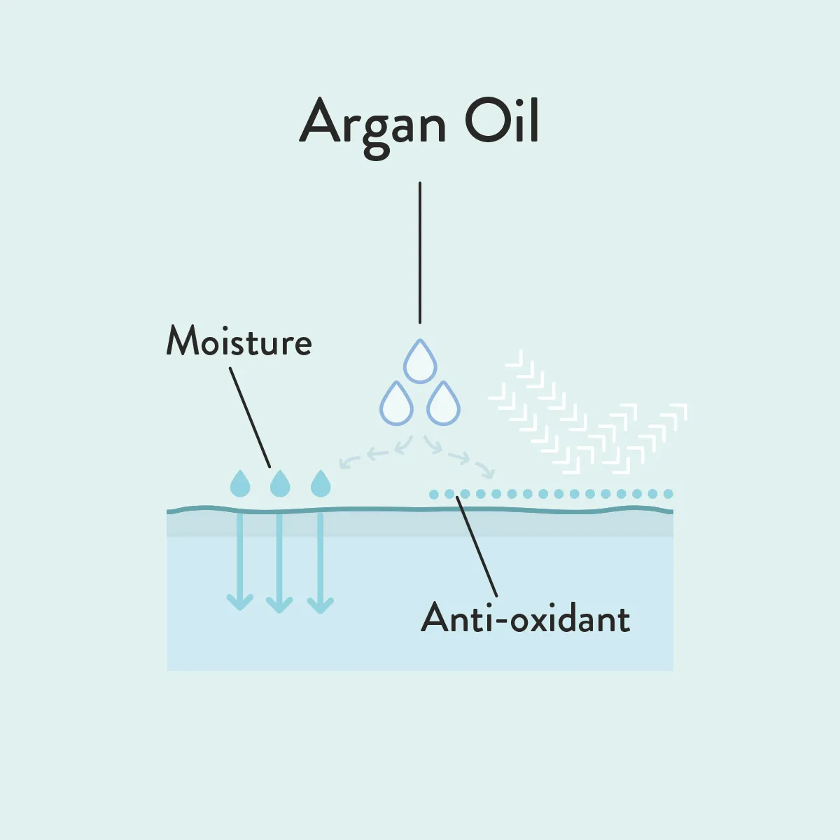 Argon Oil informative diagram