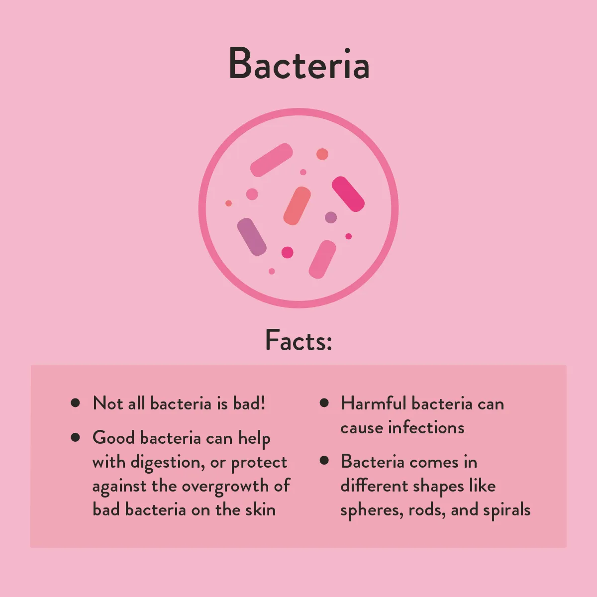 Facts about bacteria