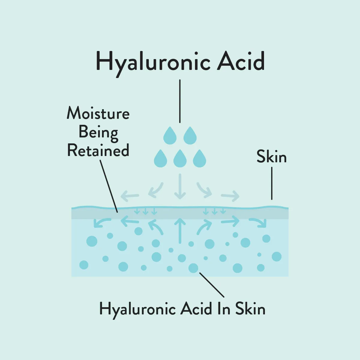 Hyaluronic acid informative diagram