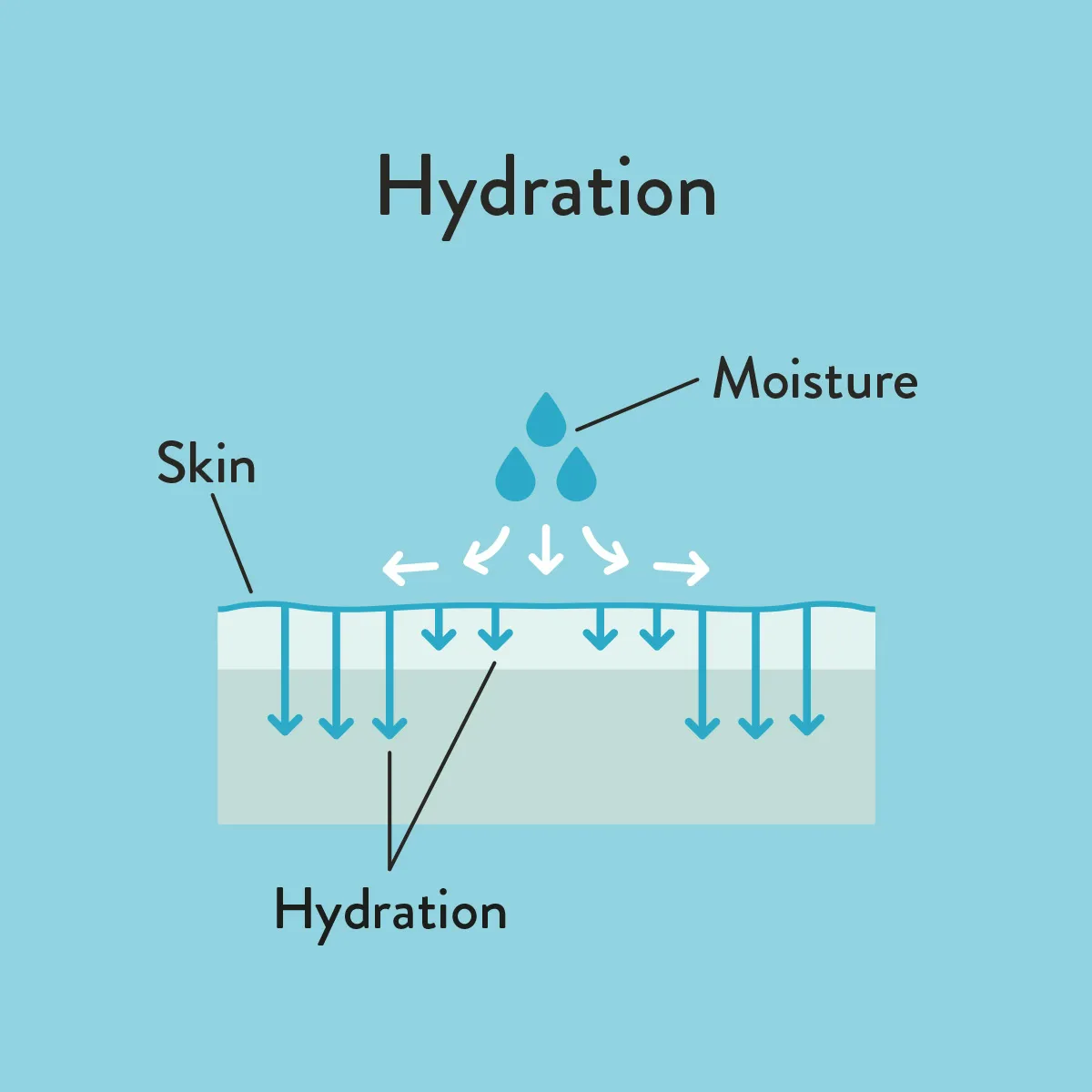 skin hydration informative diagram