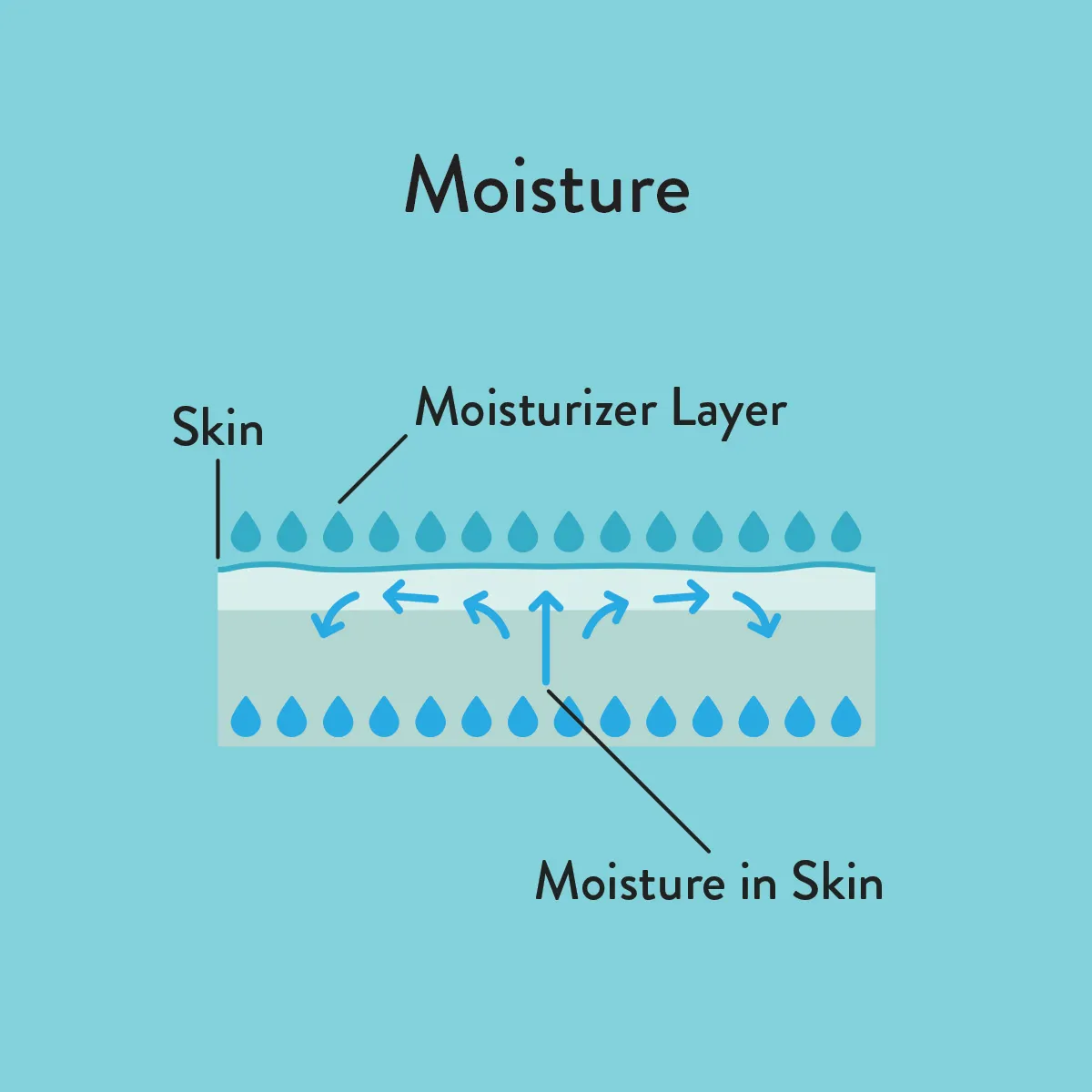 Skincare moisture informative diagram