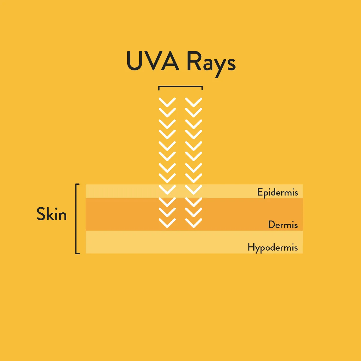 UVA  informative diagram
