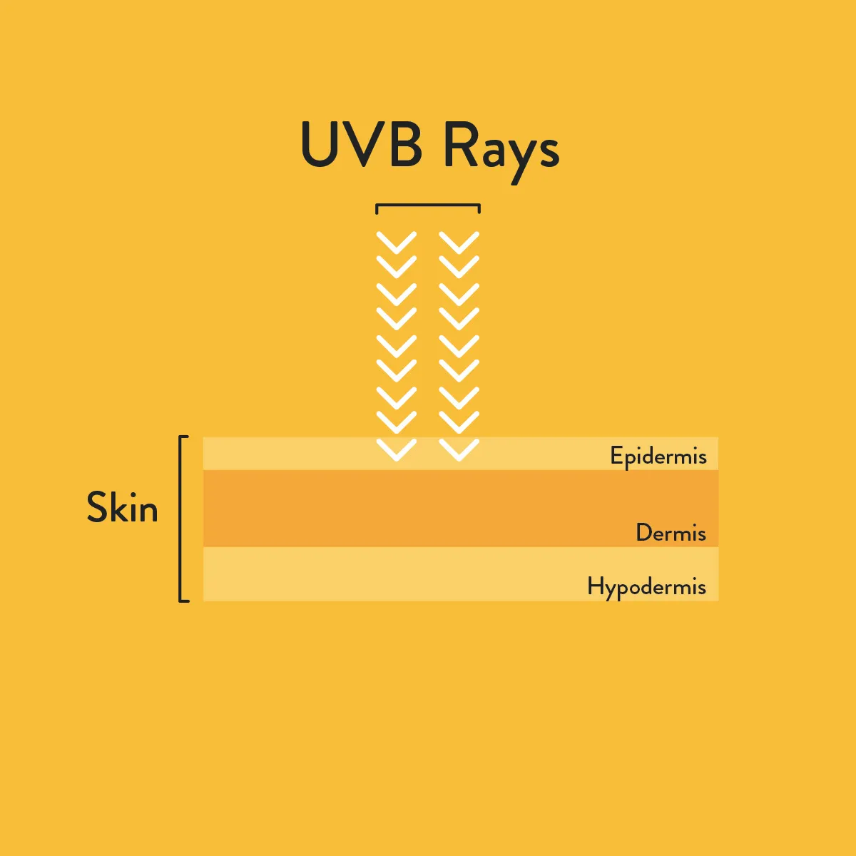 UVB informative diagram