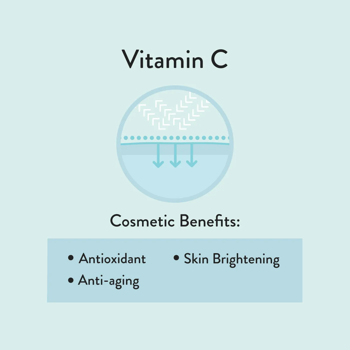 Vitamin C informative diagram