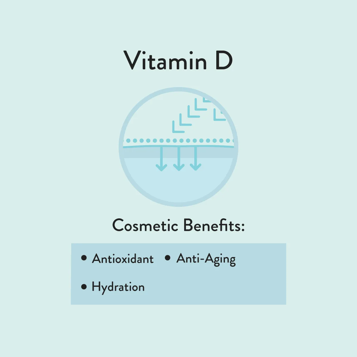 Vitamin D informative diagram